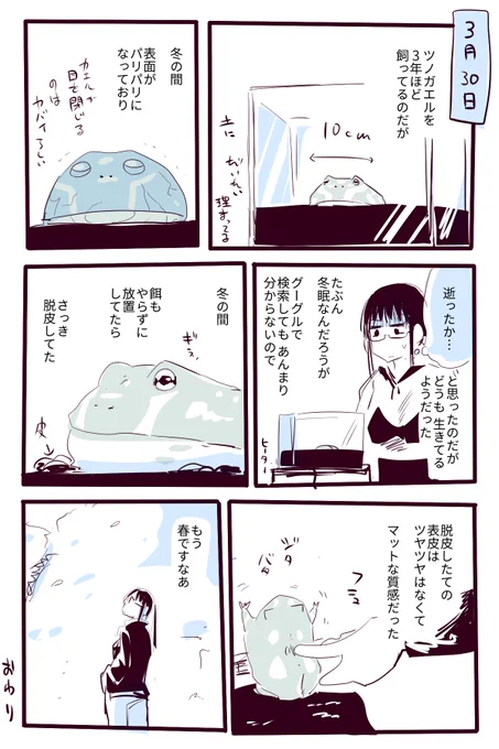 カエルも脱皮する 