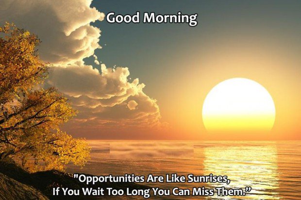 Its a beautiful morning and an exciting day. Today's watchlist:
$POTN $CBIS  $HEMP  $MJNA  $OWCP