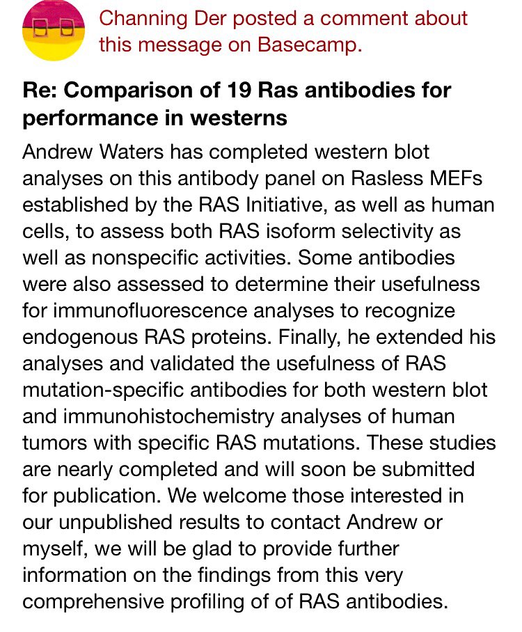 Anirban Maitra (@aiims1742) on Twitter photo More reasons to follow <a href="/theNCI/">National Cancer Institute</a> RAS Central blog 👇🏽
<a href="/cjder23/">Channing Der</a> <a href="/derlabunc/">Der Lab at UNC</a> shares his lab's experience with large panel of RAS antibodies. Cool! More reasons to follow <a href="/theNCI/">National Cancer Institute</a> RAS Central blog 👇🏽
<a href="/cjder23/">Channing Der</a> <a href="/derlabunc/">Der Lab at UNC</a> shares his lab's experience with large panel of RAS antibodies. Cool!