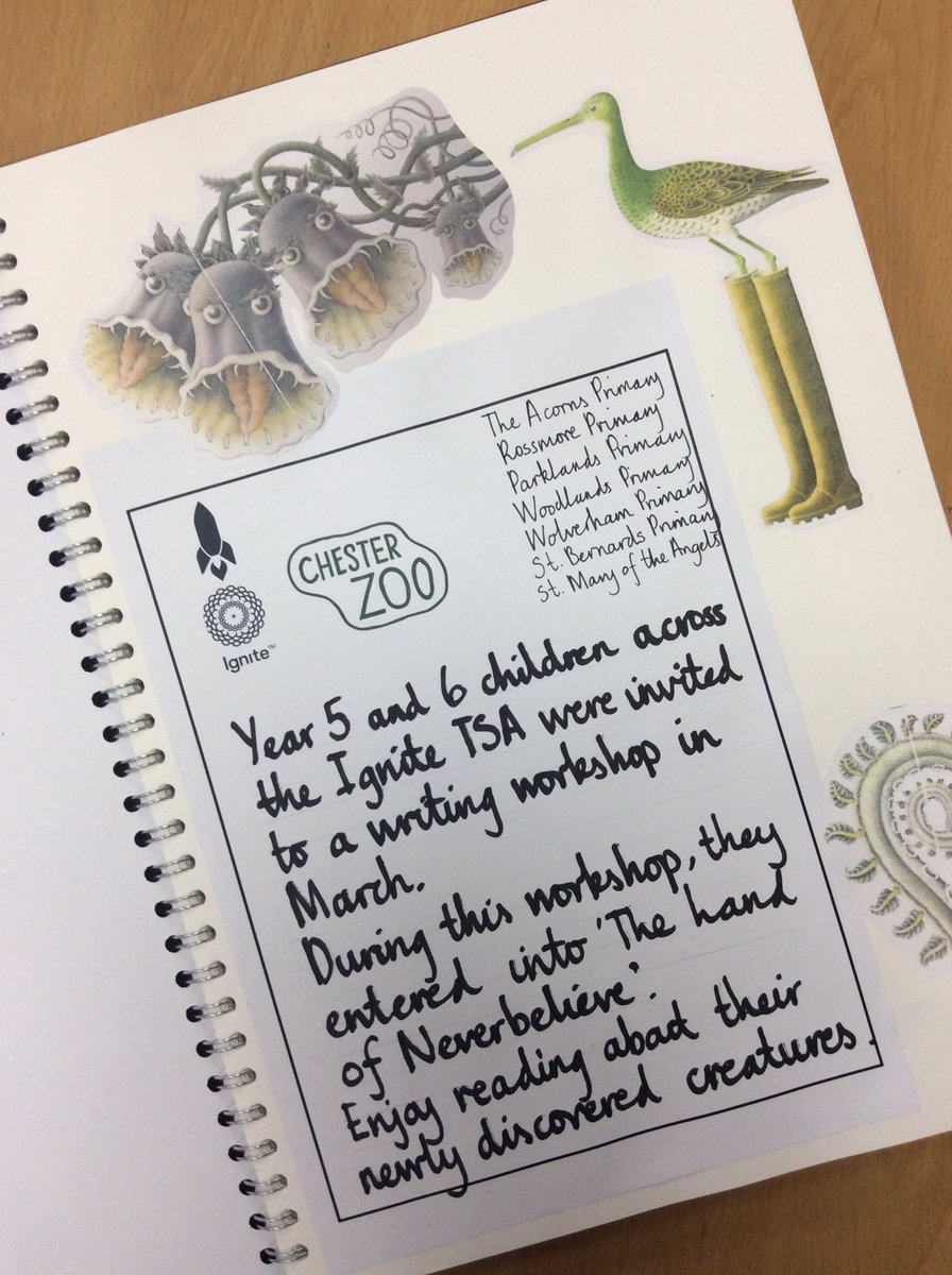 TeamFiveStBs's tweet photo. An exciting morning working on the unusual book 'The Land of Neverbelieve' with other Ignite schools. https://t.co/4Gxdw8ibUG