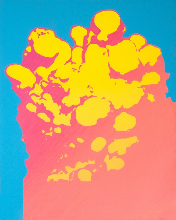 Very Pacific by Artist Rachel Strum ocholab.com/artwork/9c84e2…