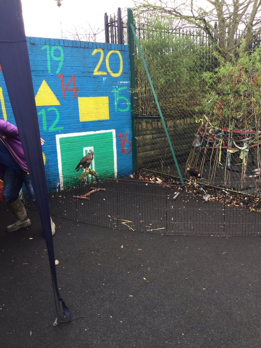 BCPS_MissBshaw's tweet photo. @AnimalQuack brought us lots of animals to see! @BCPSDeputy @BCPSHead https://t.co/r8xlros8kg