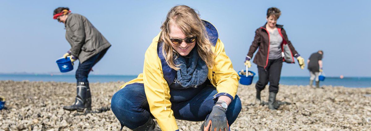 de Volkskrant tweet media