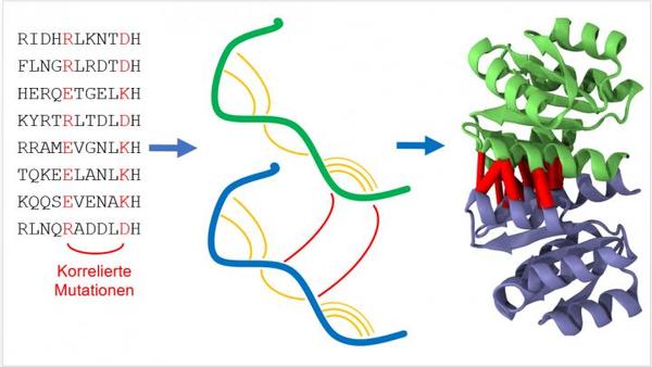 EnaByte's tweet photo. #bigdata approach to predict protein structure https://t.co/lqa1Lvs7jT https://t.co/LsQCi6E0hn