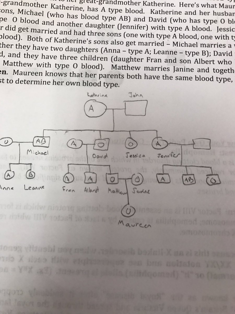 macycool57's tweet photo. Created a masterpiece of a family tree today in lab. #WillicottLabWeek11 @UNKBiol106CW https://t.co/jpF5ykPuuw