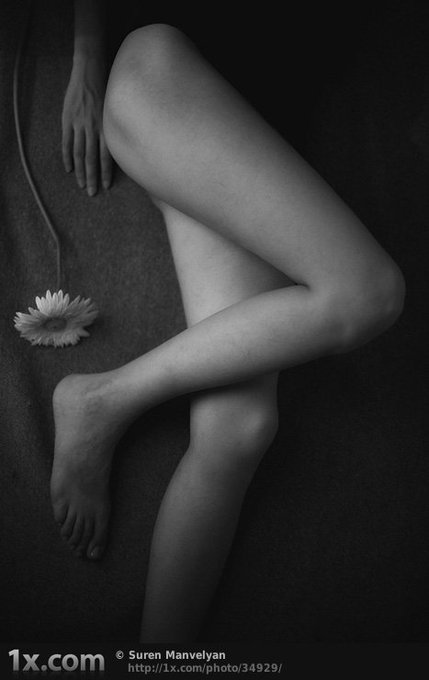 The beauty is like a perfect flower. Having the right shapes and flavor for the one who has it https://t