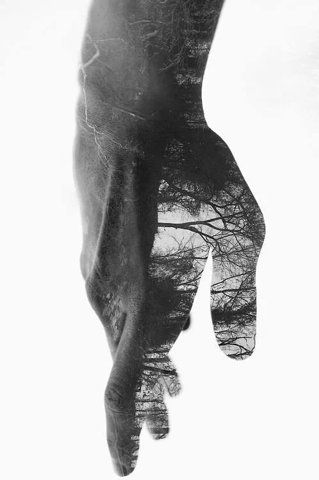 pascal beauchesne tweet media