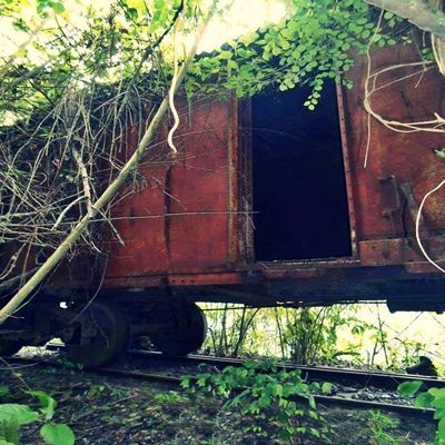 RMonkeyMagazine's tweet photo. "Vagones Fantasmas" Un #Mito oculto en las hermosas montañas mirandinas, la nota completa en secc #Mitos Y #Leyendas https://t.co/Af3tZ4vWDs https://t.co/YtmKJNGf5J
