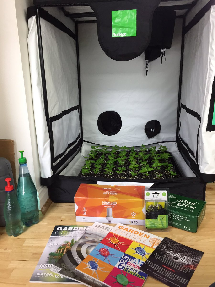 DevonChilliMan's tweet photo. Woah @NPKTECHNOLOGY this #led #cornlight is #thedaddy & ๐for the @gardenculture mags๐๐ฝI've now got #arc #eye thanks @tomsmithplants_ ๐๐ถ๐ฅ๐ฅ https://t.co/N8HT5SMDZb