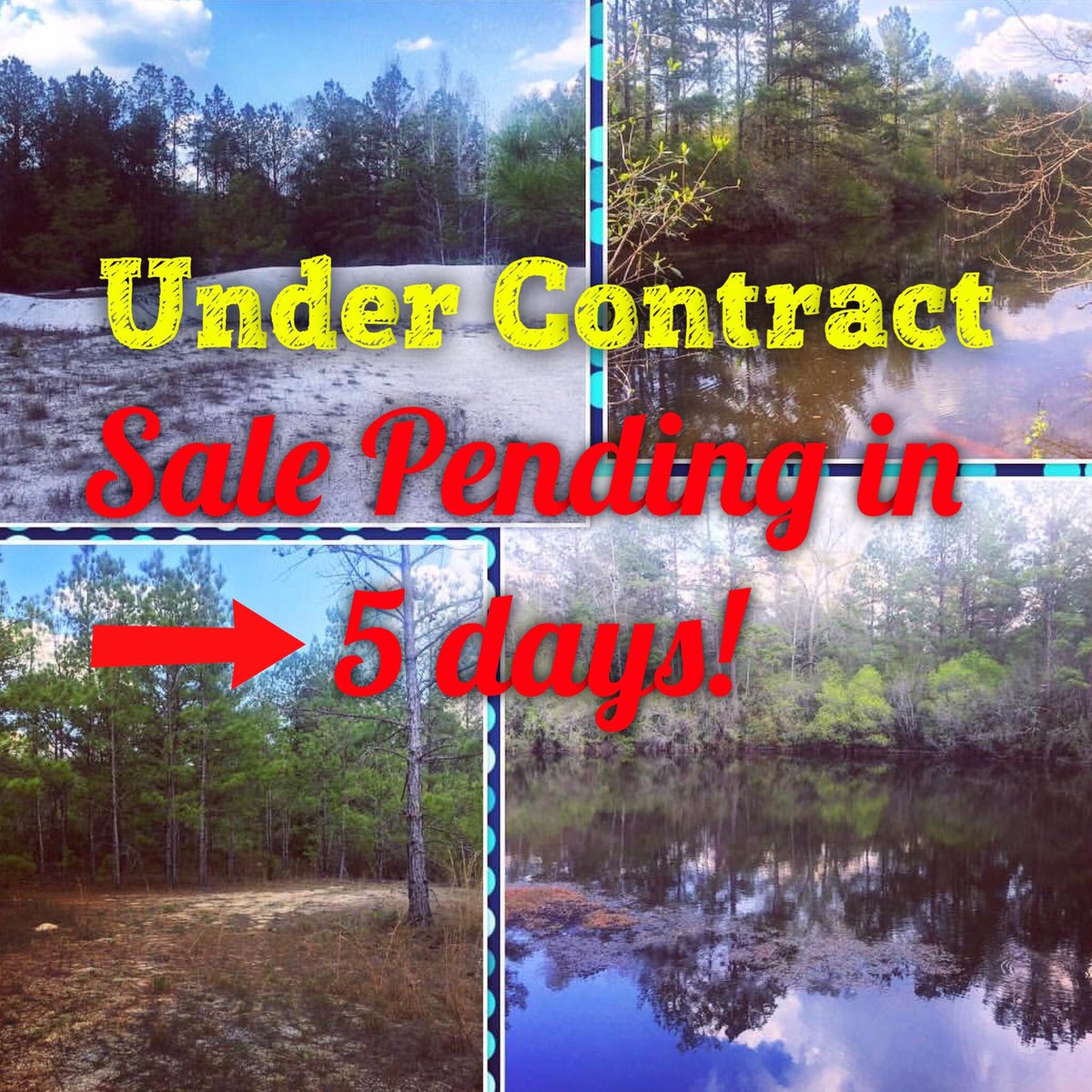 realteamagents's tweet photo. WOW! 😳 This didn't last long! #homesandland #landbuyers #undercontract #salepending #georgecounty #lucedalems #southms #realteam https://t.co/Ie8Zt6TIlX