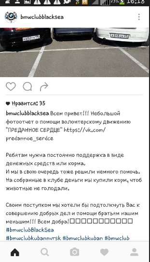 Lana_OSA's tweet image. Клуб ВМW в Новороссийске .Молодцы ребята!!))) #ПреданноеСердце #ПомощьБездомнымЖивотным