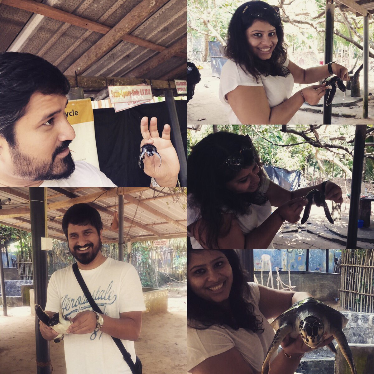 WanderingAditi's tweet photo. Fun at the Turtle hatchery in #SriLanka #vacation #travelstories #travelblogger #Adventure #turtle #ThrowbackThursday #travelphotography https://t.co/lLiauLTIez