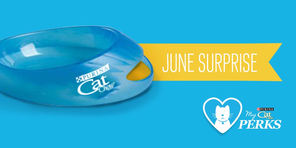 PurinaCatChow's tweet photo. This month's surprise? Our trusty Scoop-it Bowl! Get yours when you redeem your points for a reward this June. https://t.co/0q69D4bgvk https://t.co/xWUOeScmwS