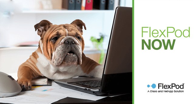 NetApp's tweet photo. You won’t be working like a dog! Increased #ApplicationPerformance, agility and cost savings: that’s #FlexPodNOW. https://t.co/EAw4eedJEq https://t.co/DpDGaGzfrt