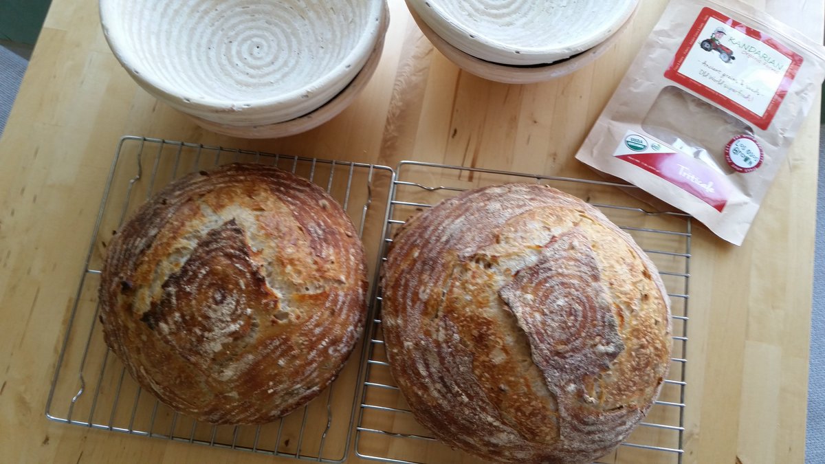 BreadStudies's tweet photo. Bread Made with #AncientGrain is Better! #KandarianOrganicFarm #Triticale in long ferment bread https://t.co/n0lkLLJ7nR https://t.co/Qm6lKZ4zHJ
