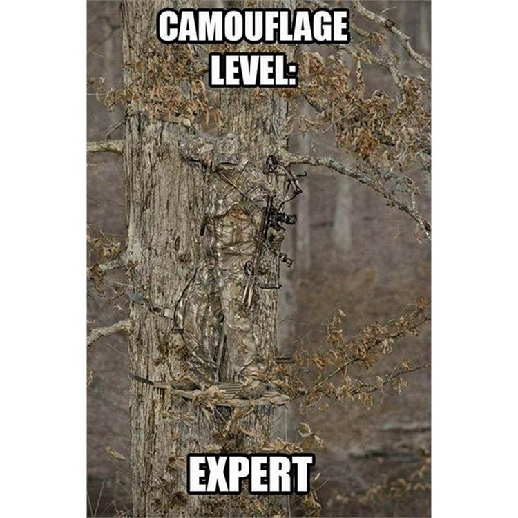 ohpto's tweet photo. When you are on top of your #camo game! #hunting #outdoors https://t.co/x8gAHJBe28