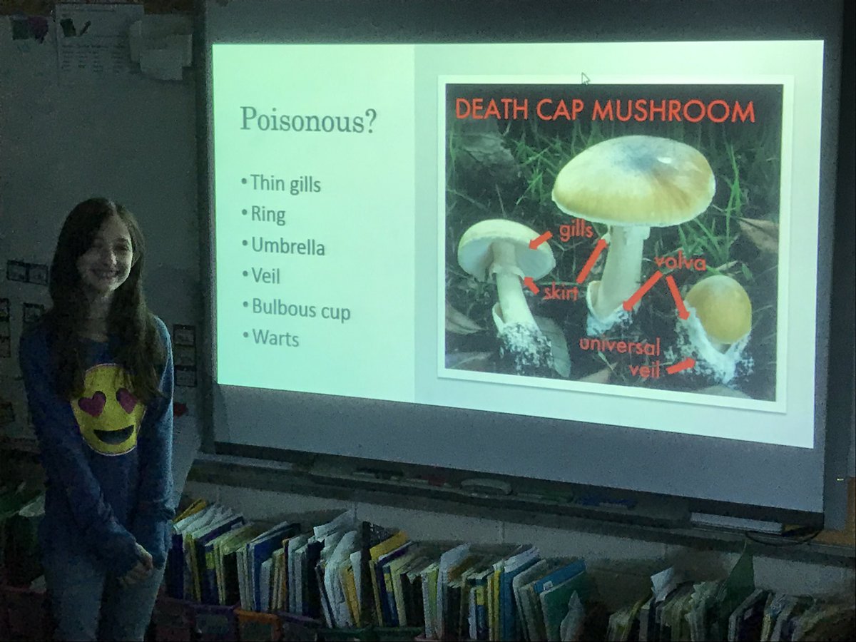CB_Scherr's tweet photo. Inquiry research went in many different directions here on the Southside #studentcentered #smore #Samanimation @cbjjaffe https://t.co/vFP52Oaosb