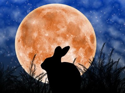 Adam Zmarz Asian Aztec Lore The Moon Rabbit A Rabbit That Lives On The Moon Based On The Rabbit Shaped Markings On The Moon Folklorethursday T Co Tu3owmhdky