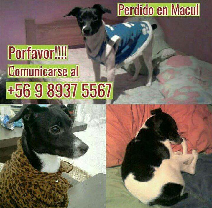 perdido en #macul RT su familia lo espera