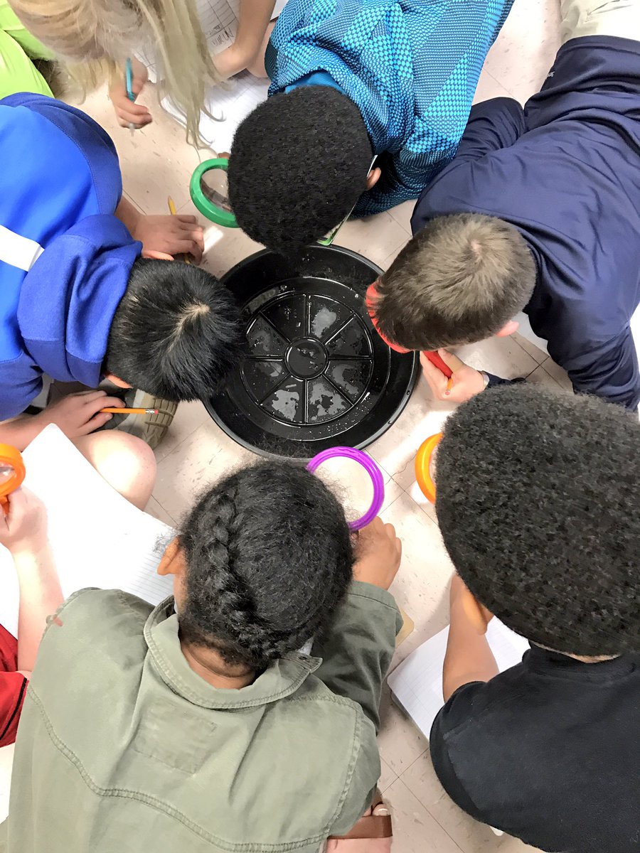 REESpbl's tweet photo. @SeeverM gr 5 identifying learned behaviors and inherited traits in crayfish and turtles! #Aquaponics @RiverEves https://t.co/eb5I4sLUki