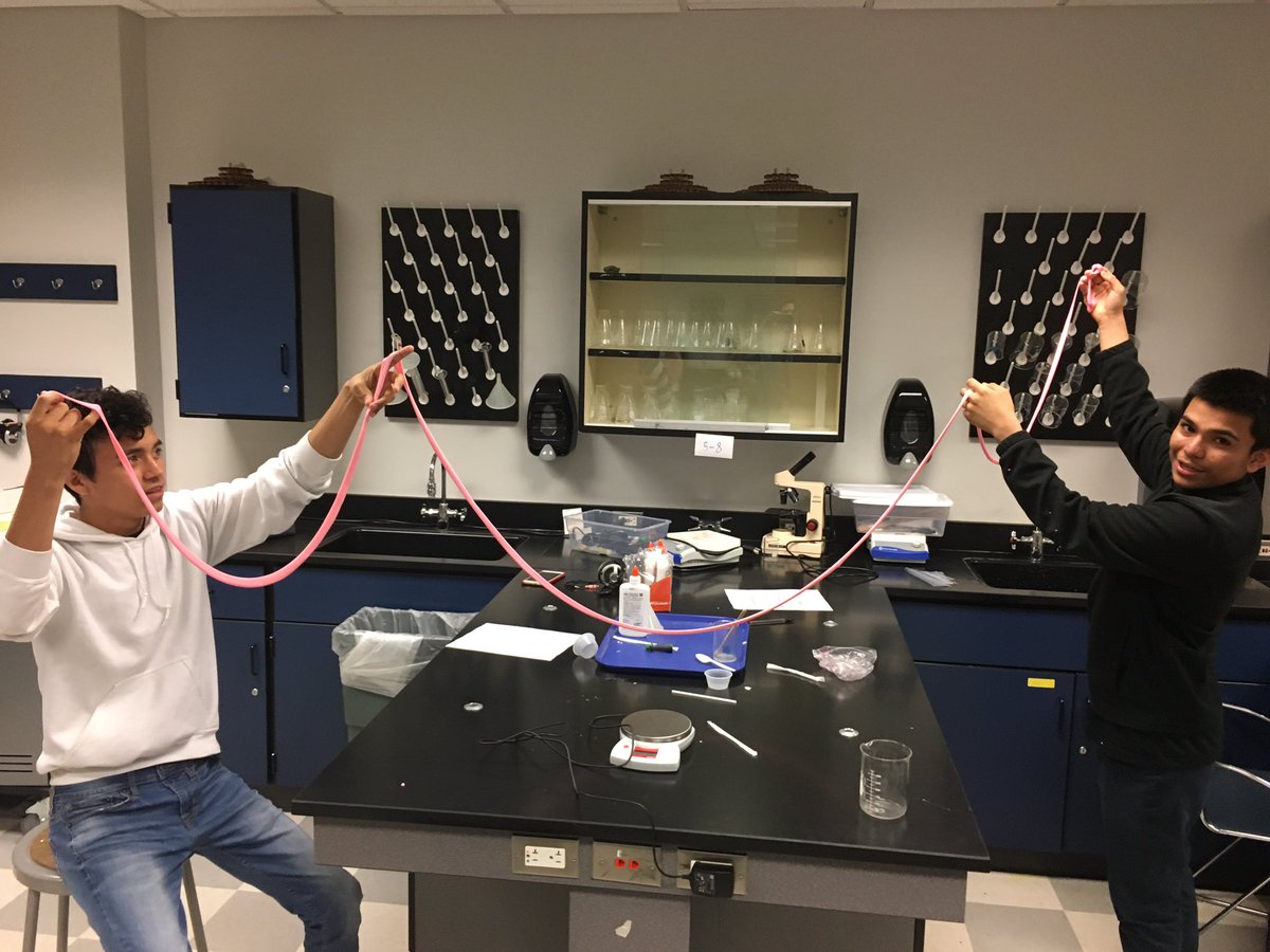 MrDubanScience's tweet photo. The winners of who could stretch their polymer slime the farthest competition. #ionicbonds @SingleyAcademy @scyguy https://t.co/utatWvV9Ua