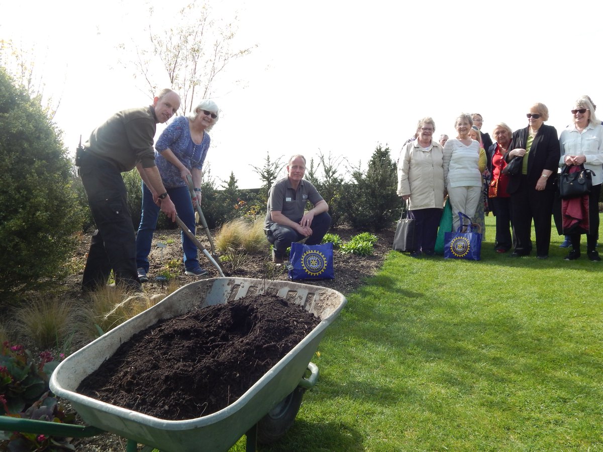 24InnerWheel's tweet image. @24InnerWheel enjoyed the sunshine whilst planting Inner Wheel Forever rose at @RHSHydeHall.  We hope it brings pleasure to visitors.