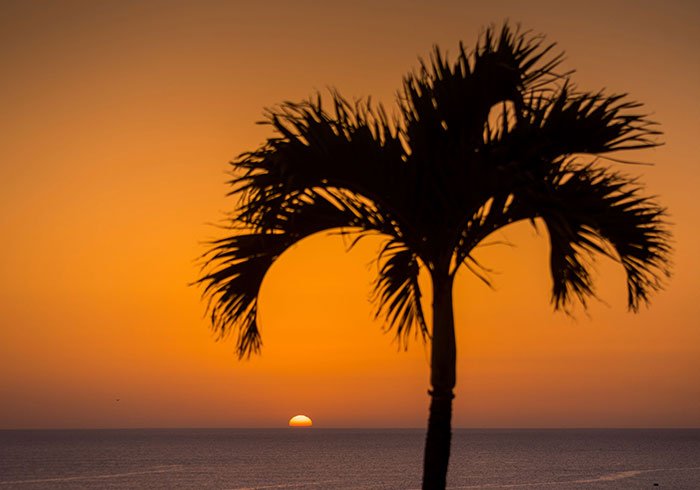 All-inclusive #holidays in #Madeira
The brand new - Pestana Royal Ocean &amp; Spa Resort
Madeira, Portugal
7nts fr £499 
fleetwaytravel.com/deals/pestana-…