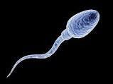 GregBaldwinIroh's tweet photo. Throwback Thursday. https://t.co/YAxnrLOGAY