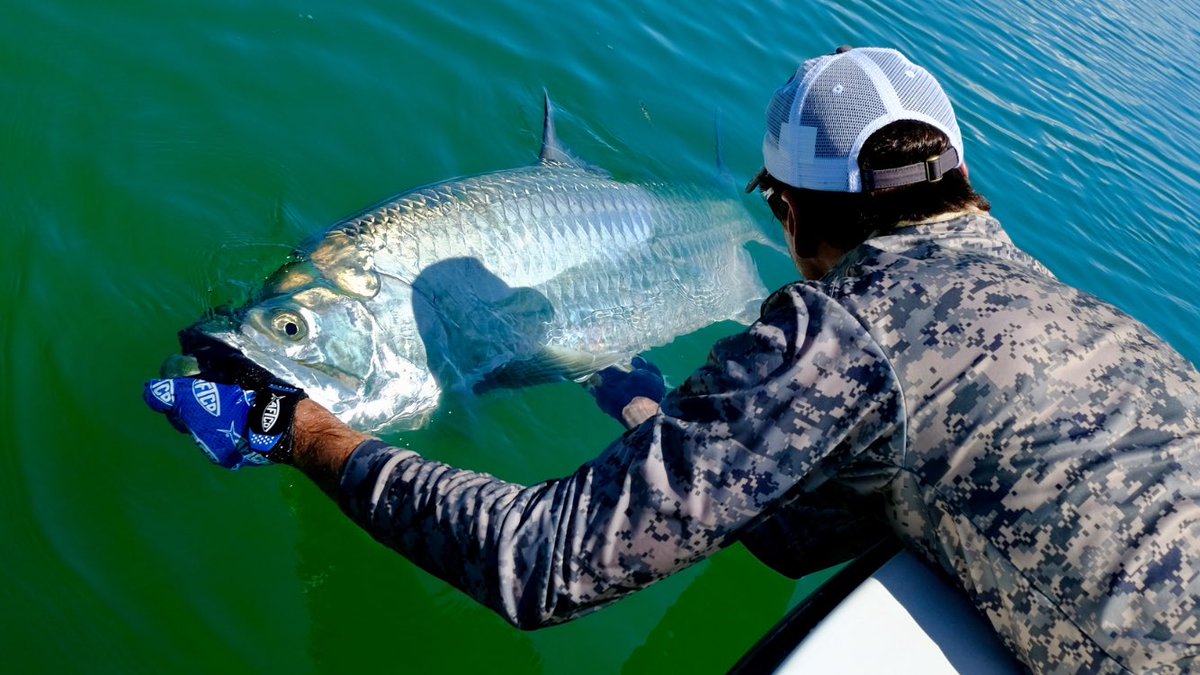 silverkingstv's tweet photo. Looking forward to the Silver Rush. #silverkings #season4 #islamorada #fishthelegend #builtforthewild #seadeked #divein #patagonia #clutch https://t.co/1YzxMSIhhu