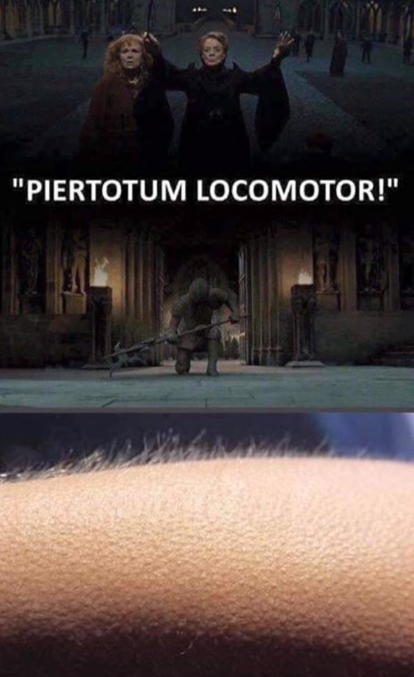 UnWeasley's tweet photo. La piel de 🐓 https://t.co/58xdebpynk