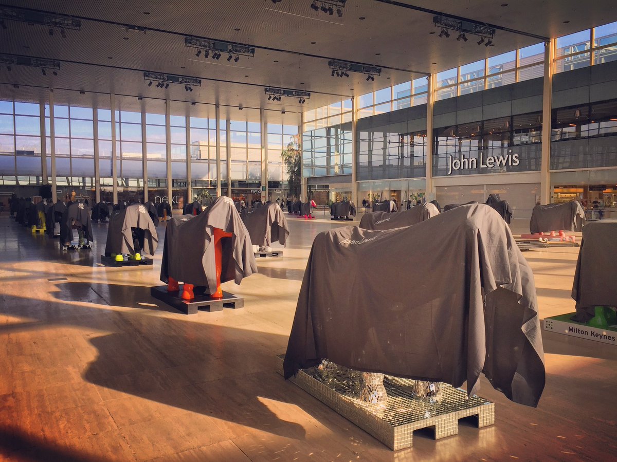 Herd are under wraps for big reveal tonight!  Cows decorated by MK companies grazing all weekend <a href="/HerdAboutMK/">Herd About MK</a>