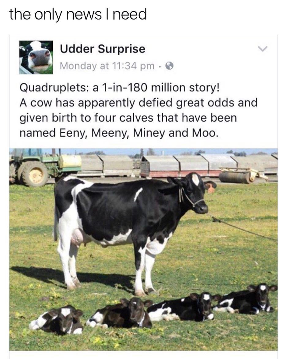 MensHumor's tweet photo. This is the only important news of the day. https://t.co/FHt7gLshzL