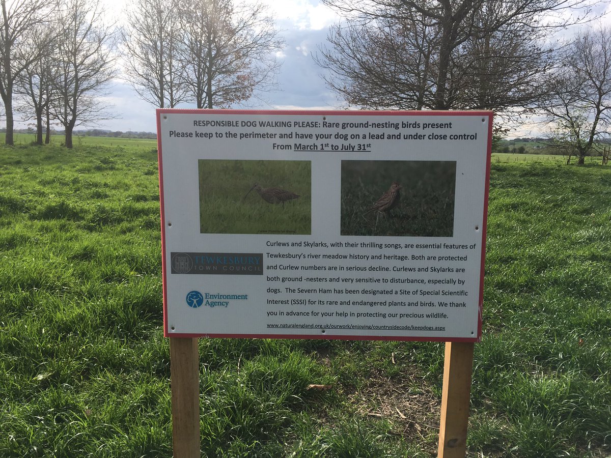 ChrisBaingerEA's tweet photo. Good @shadsevern monitoring group meeting today & site visit to #UpperLode weir #TheHam #Tewkesbury with @severnrivers @FishtekConsult https://t.co/D04FQSMs24