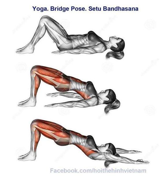 PilatesMatwork's tweet photo. What is Mat Pilates and why should you do it? - https://t.co/Ljz4g5SgUJ  #GoogleAlerts https://t.co/1a1b7kjPiI