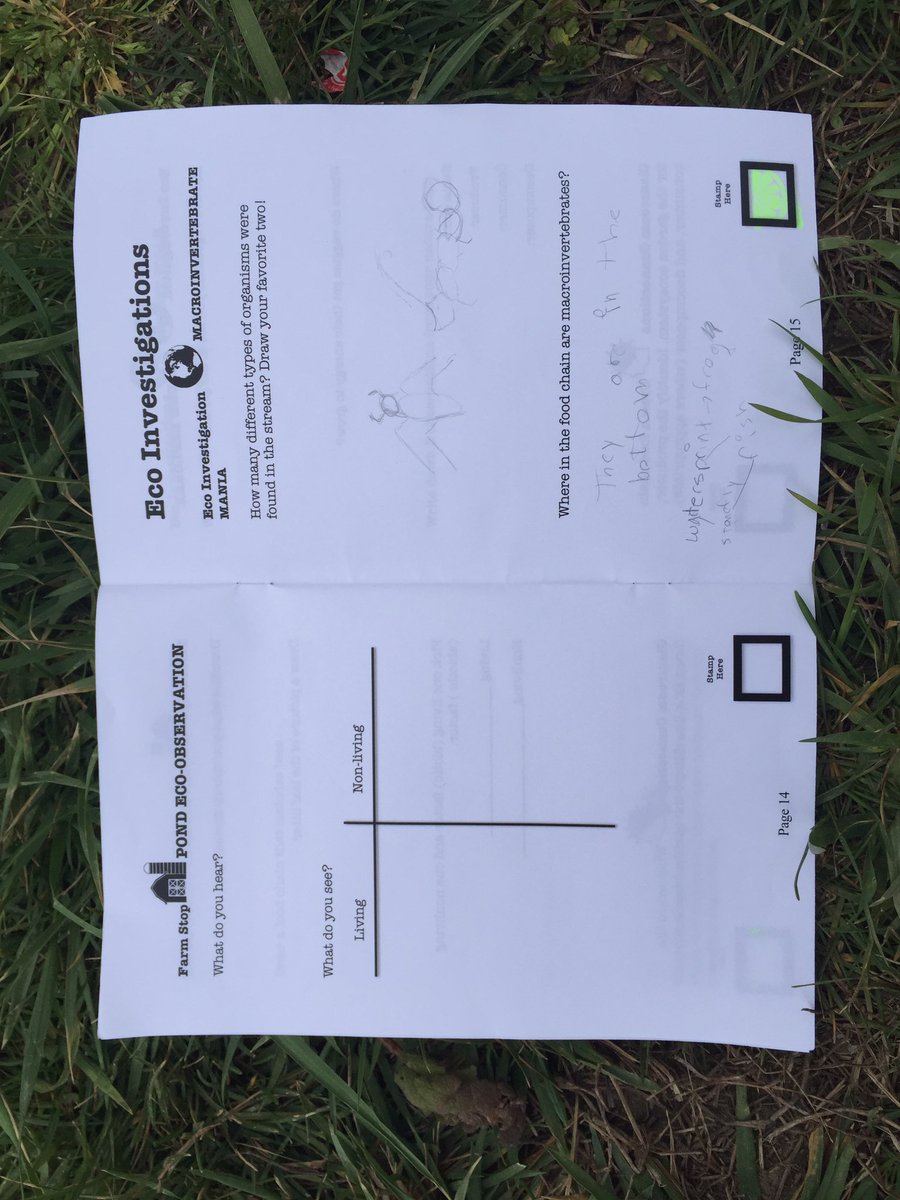 Sandy Ridge 5th grade students engage in EcoBloom activities at the DPS HUB Farm.