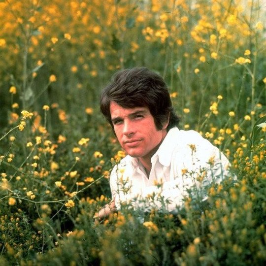 Happy 80th birthday, Warren Beatty 