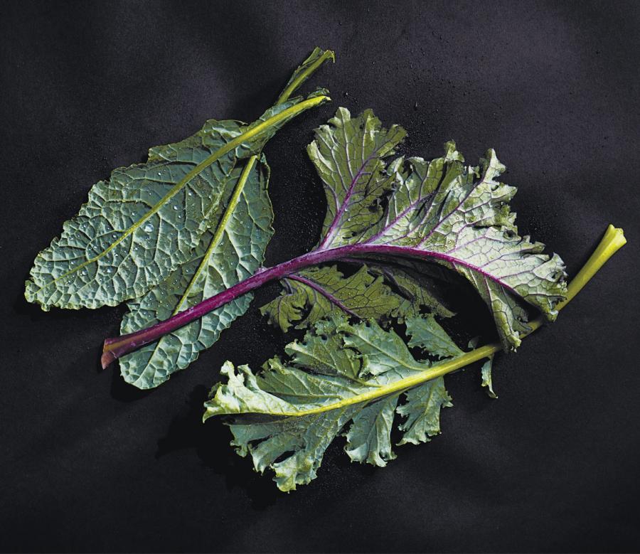 Superfoods for men: 13 vegetables you need to be eating for better health: ow.ly/pjPI30anNxh