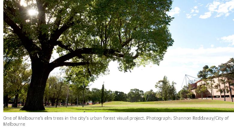 Brillianto_GI's tweet image. Stressed street #trees #mapping the #urban #forests 2 save them &amp;amp; us
theguardian.com/sustainable-bu…
@CECHR_UoD @Team4Nature300 @CleanAirLondon