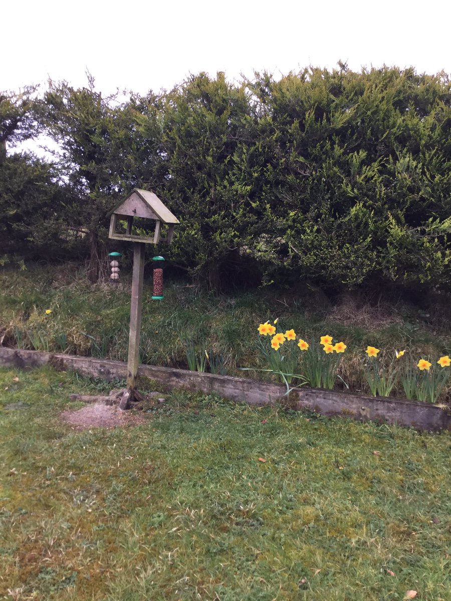 Barbara Crawford tweet media