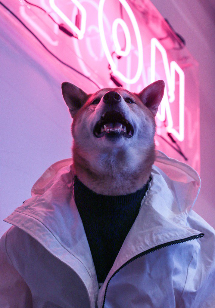 Mensweardog's tweet image. Nuthin' but a "G" Thang 
#DogDre #tbt @nautica