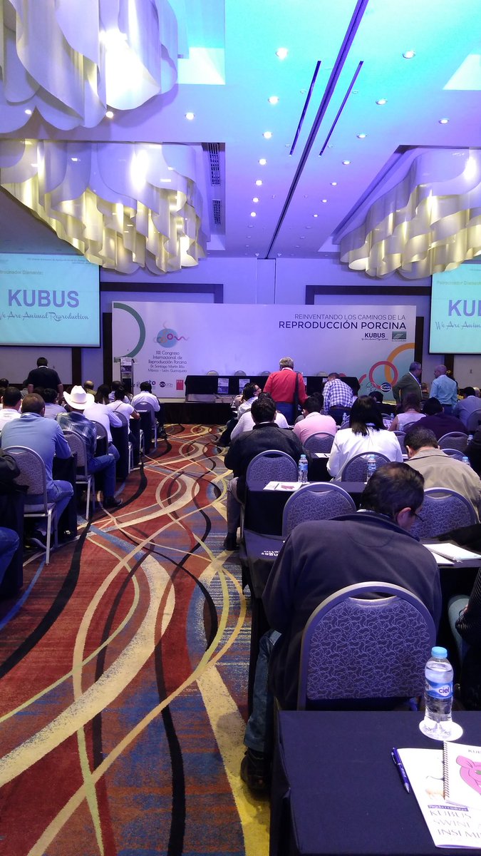 VisionPorcina's tweet image. Apunto de dar inicio el "XIII CONGRESO INTERNACIONAL DE REPRODUCCIÓN PORCINA" #VisiónPorcina