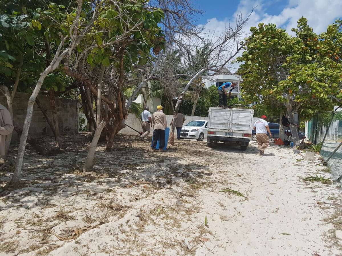 Ayto. Puerto Morelos tweet media