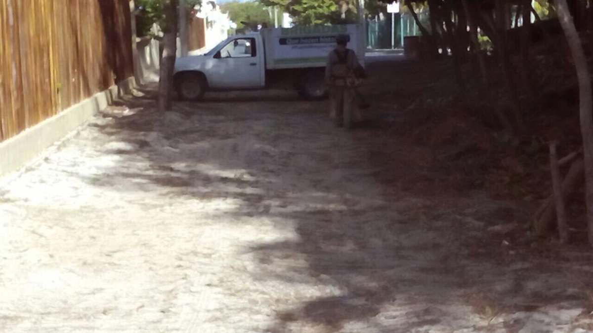 Ayto. Puerto Morelos tweet media