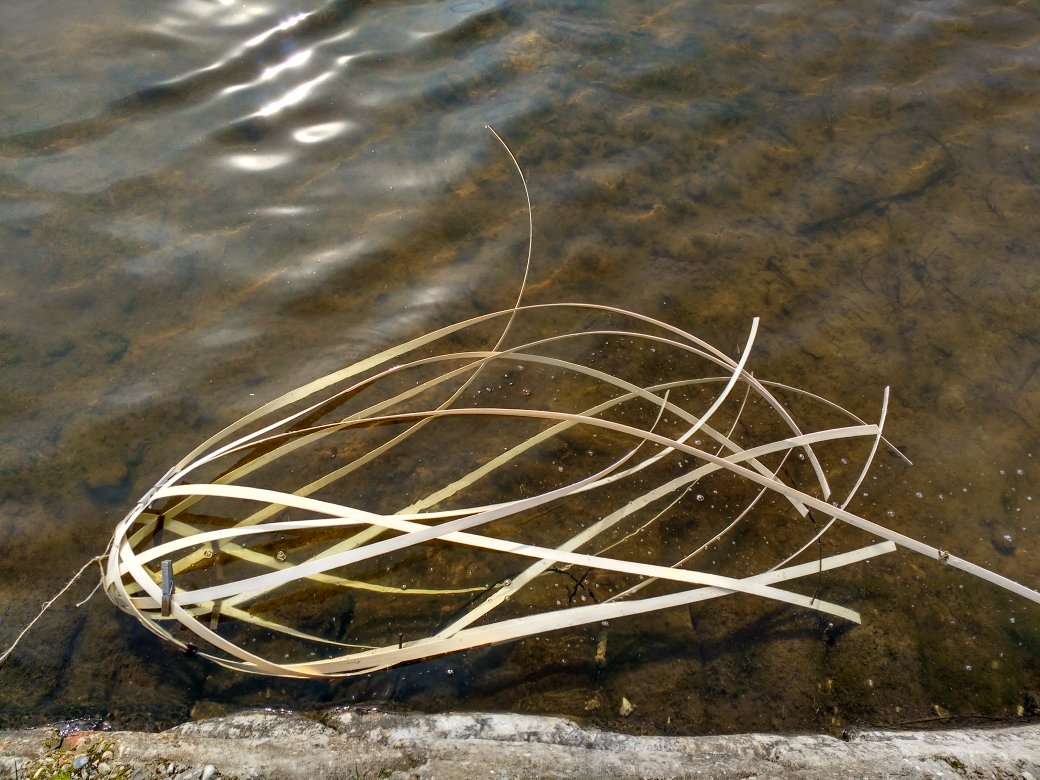 ftruscott's tweet photo. Revolution and resonance 2017 building Maquettes onsite #AxisShout @BlueMonkeyNet @AshburnhamPlace #movingdrawing #flow @waterweek2017 https://t.co/0IcfBkBVx0
