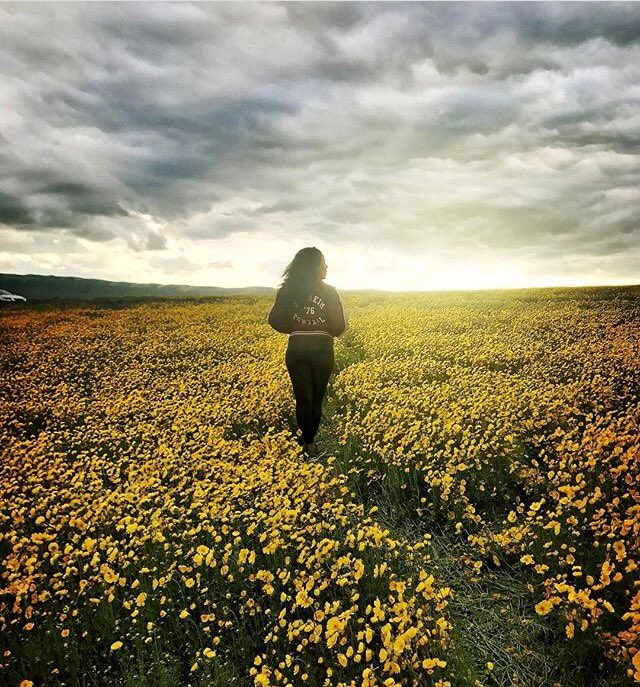 stayboldbook's tweet photo. Rise and enter this day as if it is your first and your last. Now drop all that is not necessary. -Mark Nepo #awake https://t.co/JDCEnblEdl