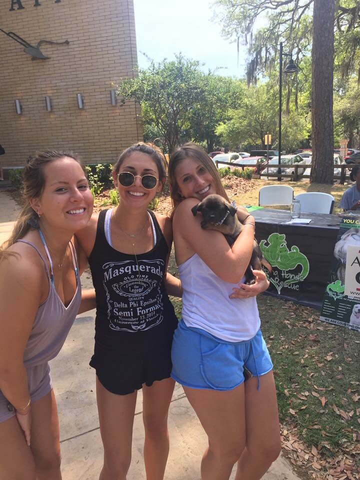We're getting some great selfies with <a href="/AGR_UF/">UF Alpha Gamma Rho</a> ! Stop by, any donor can take a selfie with our pups.