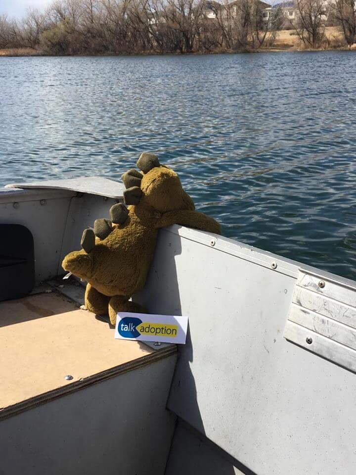 TALK_Merseyside's tweet photo. Ty being mischievous on the boat! #TAW #Tyaroundtheworld #adoption #supportadoption #Colorado #USA #fundraising @VirginMoney https://t.co/qQZuvbUzRA