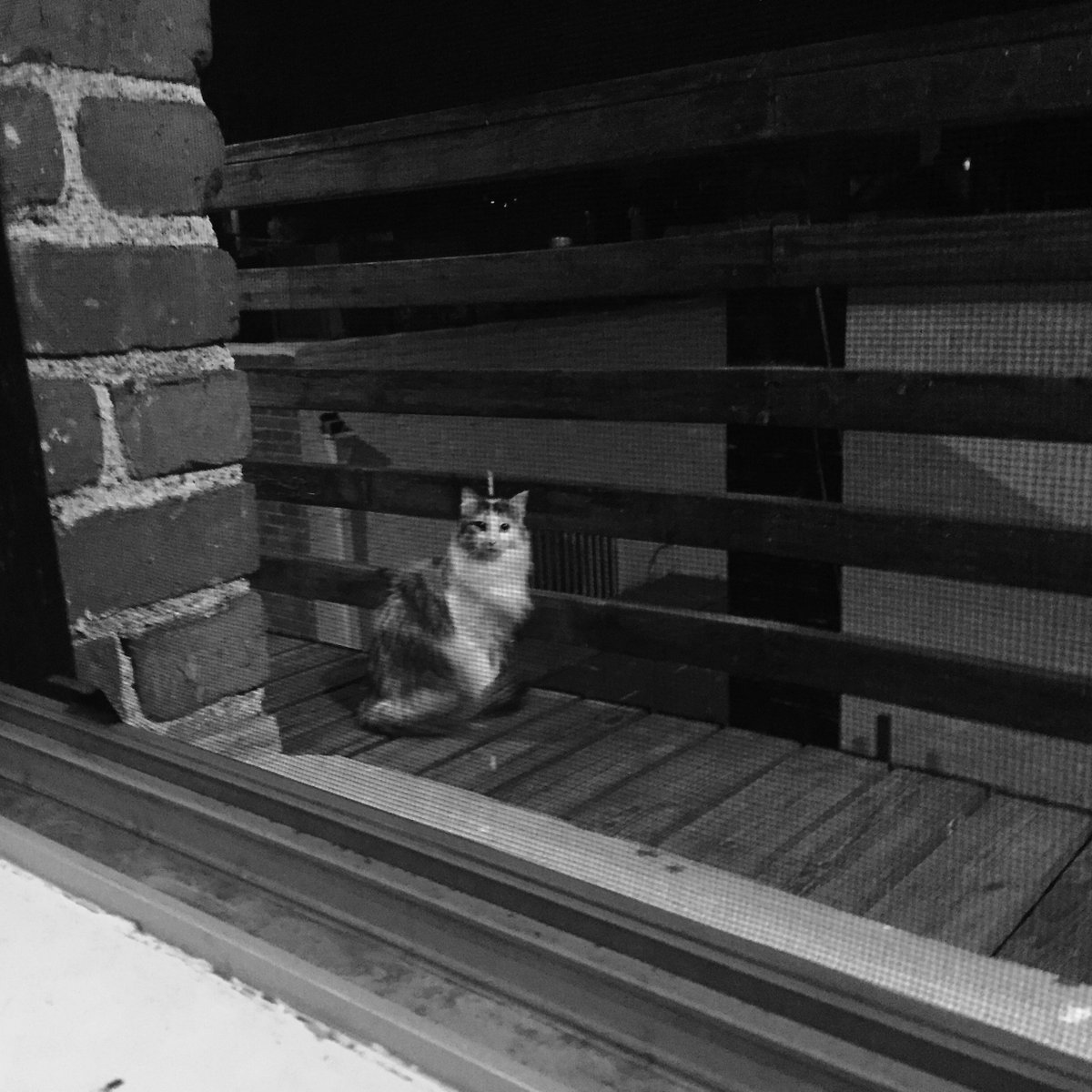 Who are you? I don't know you... I'm guessing you just want some milk.