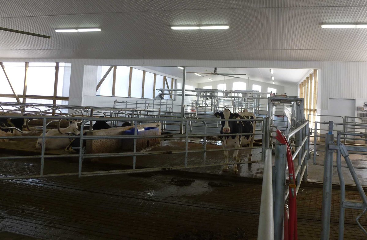 Congrats to the McLaren Family on Larenwood Farms getting top dairy herd management award in Canada for 3rd year bit.ly/2ocZDXa