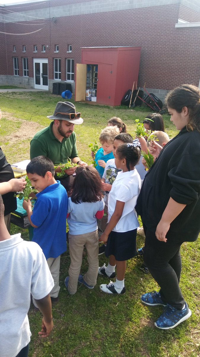 mrsaulSTEAM's tweet photo. Learning about nitrogen fixation in #whitsittgreenmachine @WhitsittWildcat #STEAM https://t.co/ldNPCKnUqo
